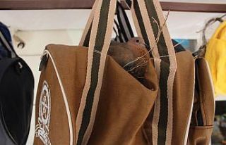 Züccaciye dükkanın önüne asılan çanta kuşların...