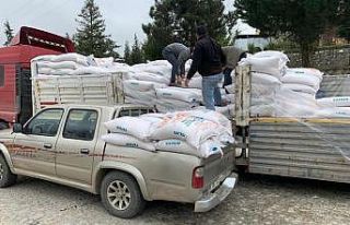 32 bin ton çeltik tohumu dağıtıldı