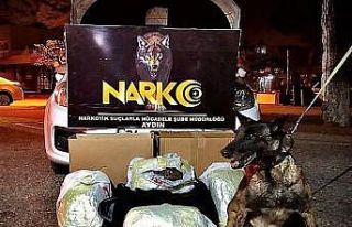 5.9 kilo esrarla yakalanan uyuşturucu taciri tutuklandı