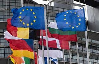 AB vatandaşlığı seçenler listesinde Türkler...