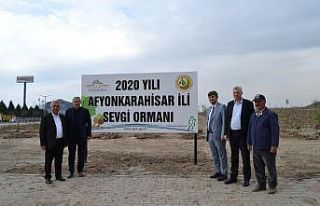 Afyonkarahisar OSB’de ağaçlandırma çalışmaları