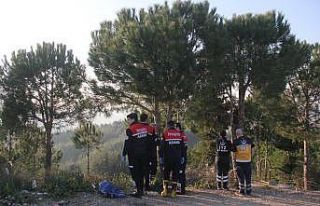 Ağaçta asılı bulundu