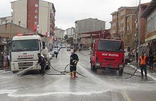 Ahlat’ta cadde ve sokaklar ilaçlı suyla yıkanıyor
