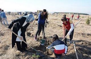 Akyurt’ta her can için bir fidan dikilecek