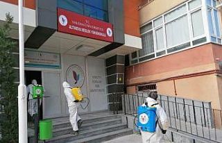 Altınova’da her yer ilaçlanıyor