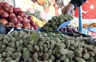 Antalya’da çağla sezonu açıldı