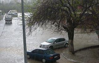 Araçlarını ağaçların altında doludan korudular