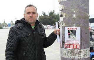 ‘Artist’i bulanı ödüllendirecek