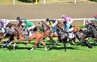 At yarışları ertelendi