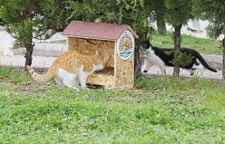 Atakum’da ‘can dostlar’ unutulmadı