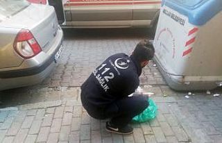 Avcılar’da çöp konteynerinin yanında yeni doğmuş...