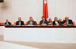 Aydemir: ‘Cumhurbaşkanımız izzetimizdir’