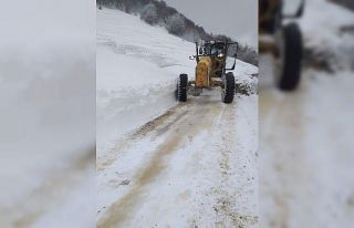 Bafra’da ’mart karı’ ile mücadele