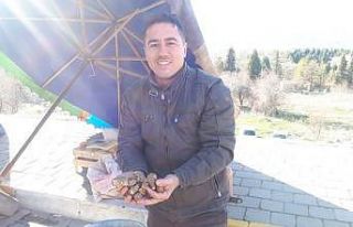 Bağışıklık sistemini güçlendiren yer elması...