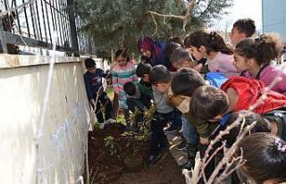 Bağlar Belediyesinden okullarda yeşil alan seferberliği