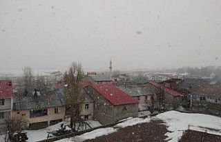 Baharı beklerken, Karlıova’ya kar geldi
