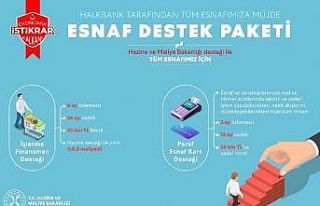 Bakan Albayrak, Halkbank aracılığıyla esnafa iki...