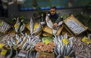 Balık fotoğrafı yarışmasının kazananları belli...