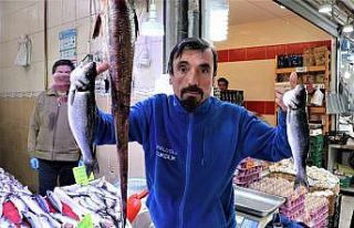 Balık tezgahlarında her şey 10 lira