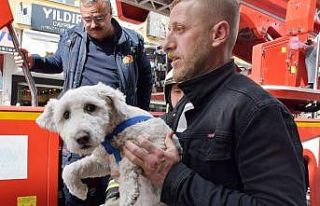 Balkonda mahsur kalan yavru köpeği itfaiye kurtardı
