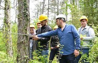 Bartın Üniversitesi mezunu 193 öğrenci OGM’ye...