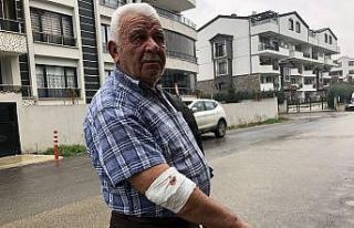 Başıboş köpekler yaşlı adama saldırdı, hastanelik...