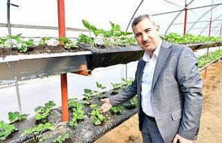 Başkan Çınar, Yeşil Gıda Seracılık Projesini...