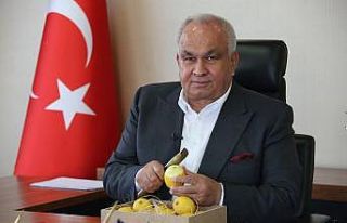 Başkan Tollu’dan ’limon tüketin’ çağrısı