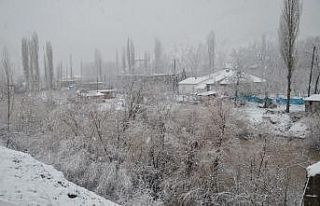 Beytüşşebap’ta kar yağışı