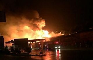 Bilecik’teki büyük yangın sonrası ilk açıklama...