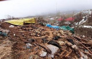 Bingöl’de 2 ahır çöktü, 40 küçükbaş hayvan...