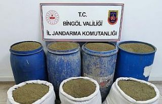 Bingöl’de 504 kilo esrar ele geçirildi