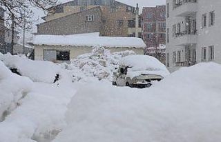 Bingöl’de kar yağışı, 21 köy yolu kapandı