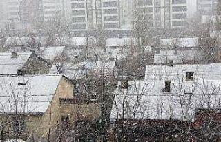 Bitlis’te lapa lapa kar yağışı