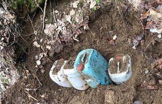 Bitlis’te teröristlere ait çok sayıda gıda malzemesi...