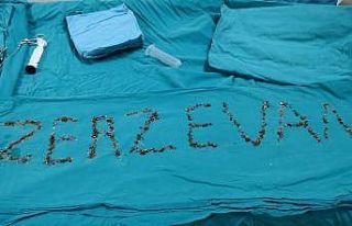 Böbreğinden ’Zerzevan’ çıktı