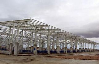 Boğazlıyan’da hayvan pazarı kapatıldı