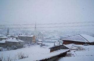 Bozüyük’te kar yağışı etkili oldu