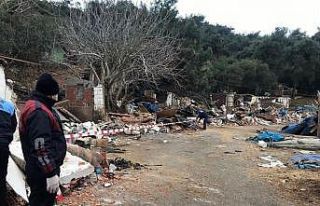 Burgazada’da ahırların yıkımından sonra atlar...