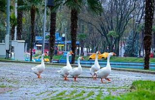 Bursa’da parklar sağlık için kapatıldı