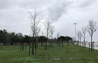 Caddebostan sahili ıssız kaldı