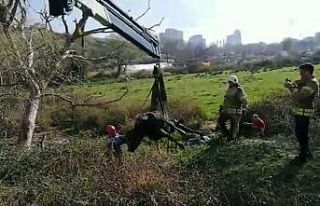 Çamura saplanan ineğe kurtarma operasyonu