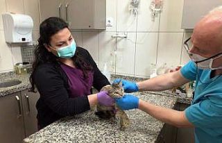 Can Dostlar Osmangazi’ye emanet