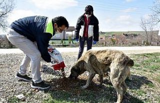 Can dostlar unutulmuyor