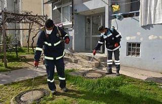 Ceyhan’da larva mücadelesi başladı