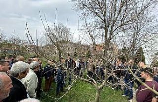 Çiftçilere uygulamalı budama eğitimi