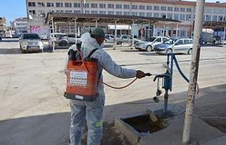 Çifteler Belediyesi tarafından dezenfeksiyon çalışmaları...