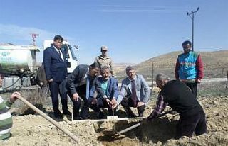 Darende’de armut ve elma yaygınlaştırılacak