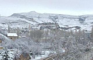 Darende’de çiçek açan kayısı kara gömüldü