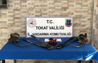 Direklere tırmanıp çaldılar